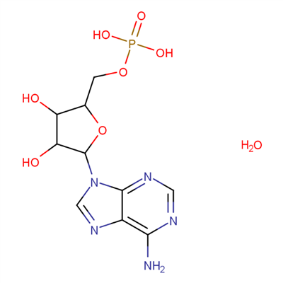 5'-AMP Monohydrate CAS 18422-05-4